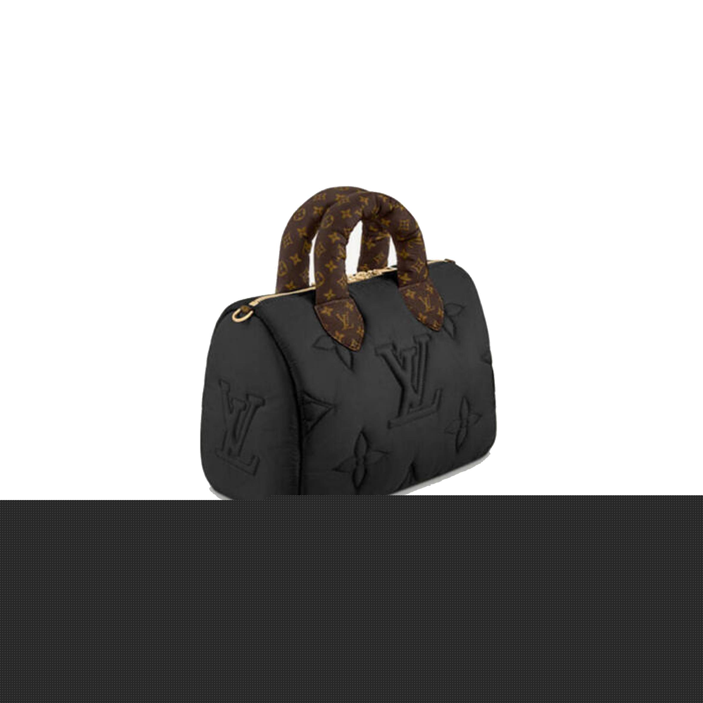 l**is V*t*n   speedy bandouliÈre 25 m59008 (25*19*15cm)